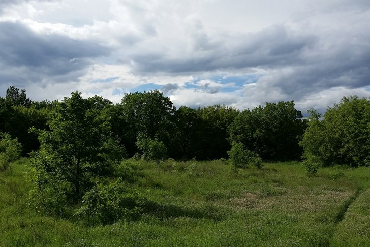 Realty photo 2