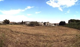 Land 7135 m² auf Sithonia (Chalkidiki)