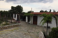 Property 31929 photo 31