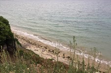 Property 31929 photo 40