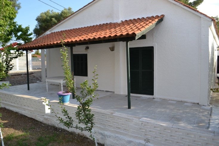 Realty photo 1