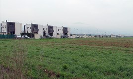 Terrain 9000 m² dans la banlieue de Thessalonique
