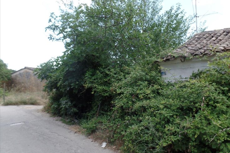 Realty photo 3