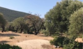 Land 13650 m² in Ionian Islands