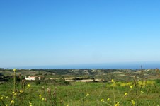 Property 32041 photo 4