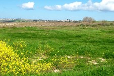 Property 32041 photo 5