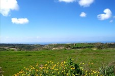 Property 32041 photo 6