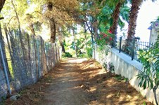 Property 32055 photo 4