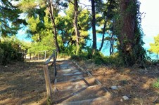 Property 32055 photo 6