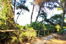 Property 32055 photo 7