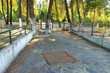 Property 32055 photo 11