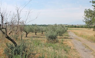 სასტუმრო 4000 m² ოლიმპიურ რივიერაზე