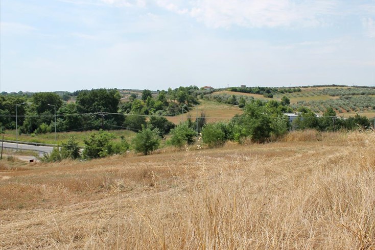 Realty photo 2