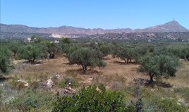 Парцел 6300 m² на Крит