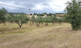 Zemljište 5500 m² na Sitoniji (Halkidiki)