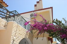 Property 321 photo 3
