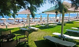 Business 6000 m² in Western Peloponnese