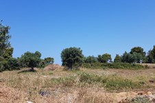 Property 32110 photo 4