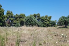 Property 32110 photo 3