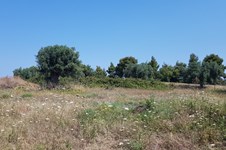 Property 32110 photo 5