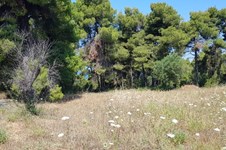 Property 32110 photo 1
