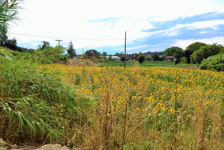 Realty photo 2