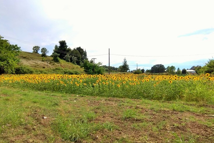 Realty photo 3