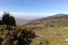 Property 3215 photo 1