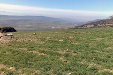 Property 3215 photo 2