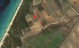 Arsa 19900 m² Kassandra’da (Chalkidiki)