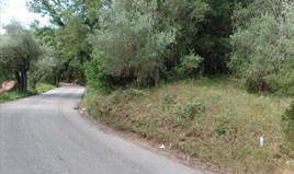 Land 6000 m² auf Korfu