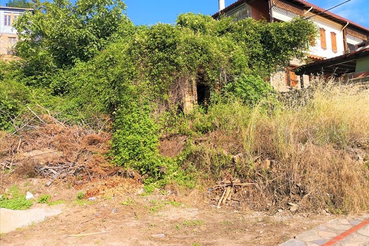 Realty photo 2