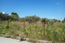 Property 32243 photo 3