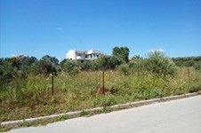 Property 32243 photo 5