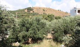 Land 533 m² auf Kreta