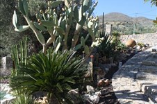 Property 32261 photo 31