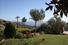 Property 32261 photo 36