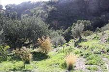 Property 32261 photo 47