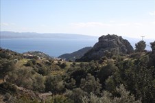 Property 32261 photo 48