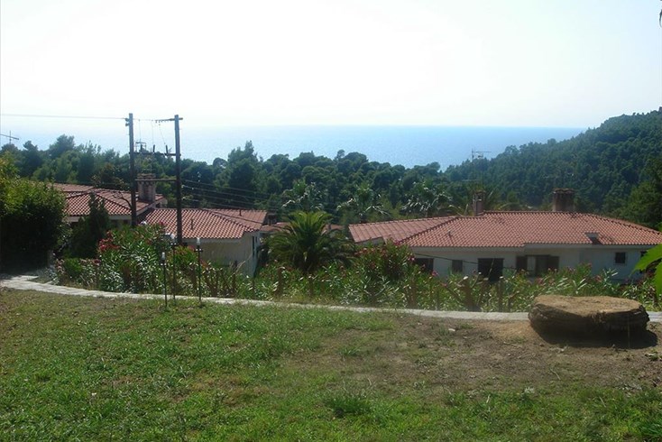 Realty photo 1