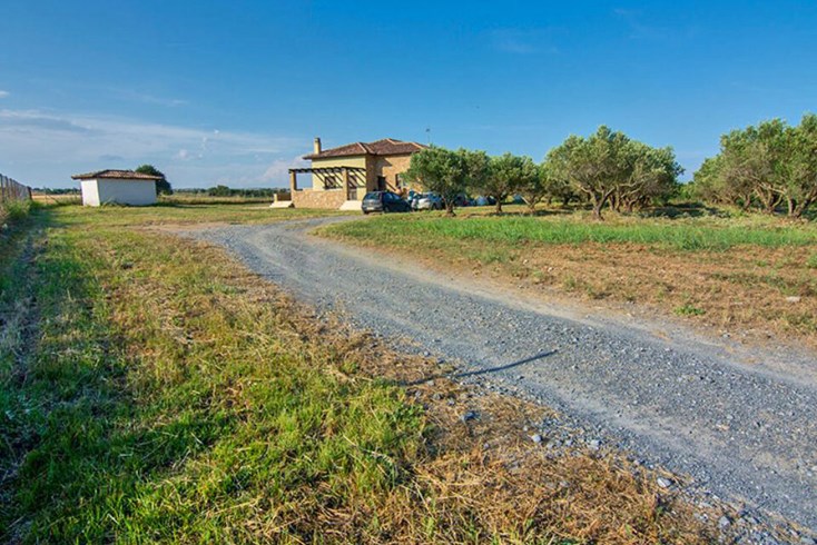 Realty photo 3
