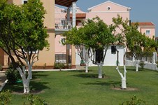 Property 3231 photo 9