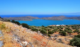 Land 5695 m² in Crete