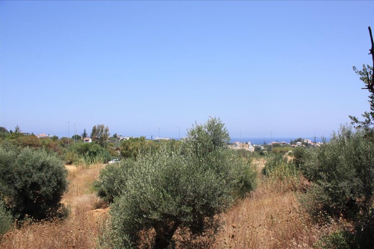 Realty photo 2