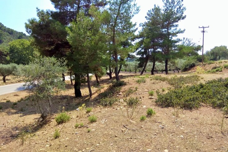 Realty photo 1