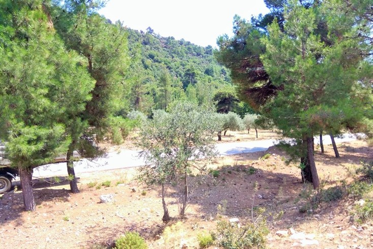 Realty photo 2