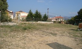 Land on the island of Thassos
