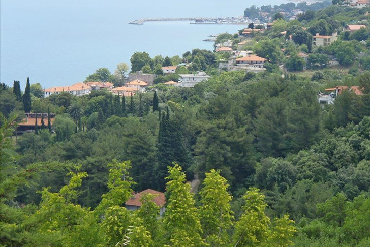 Realty photo 2