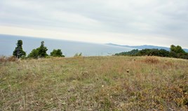 Land 55000 m² in Kassandra, Chalkidiki