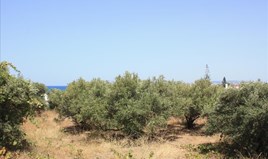 Land 1620 m² in Crete